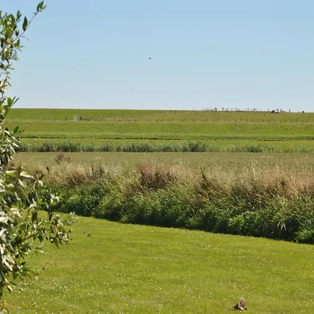 In Texel Near The Dyke *