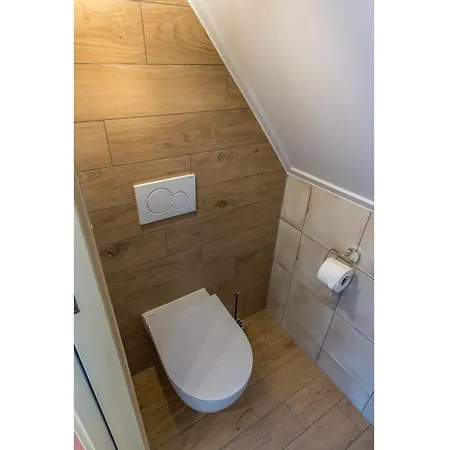 In Texel Near The Dyke Oost (Texel)