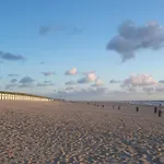 Apartament In Texel Near The Dyke *