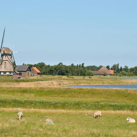 In Texel Near The Dyke