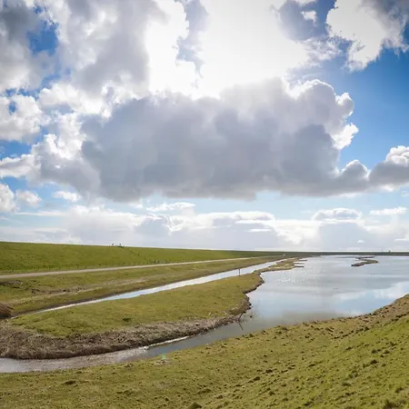 In Texel Near The Dyke Oost (Texel)