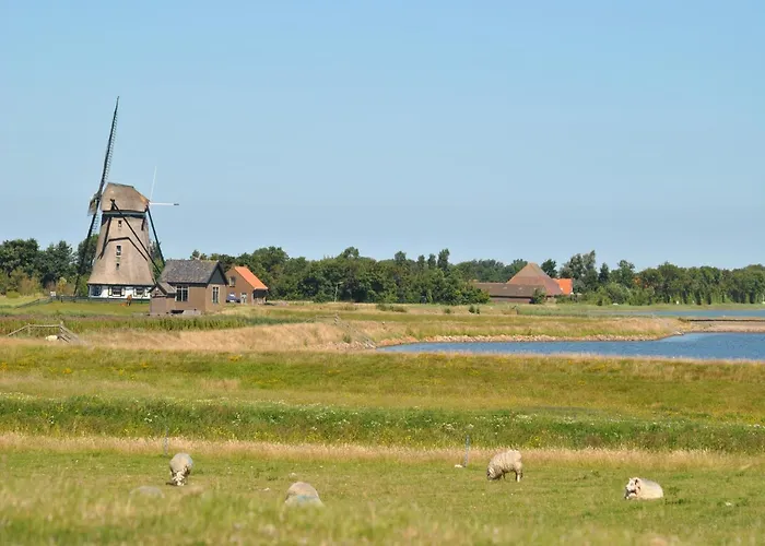 In Texel Near The Dyke