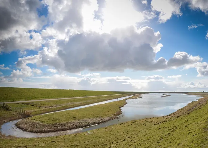 In Texel Near The Dyke Oost