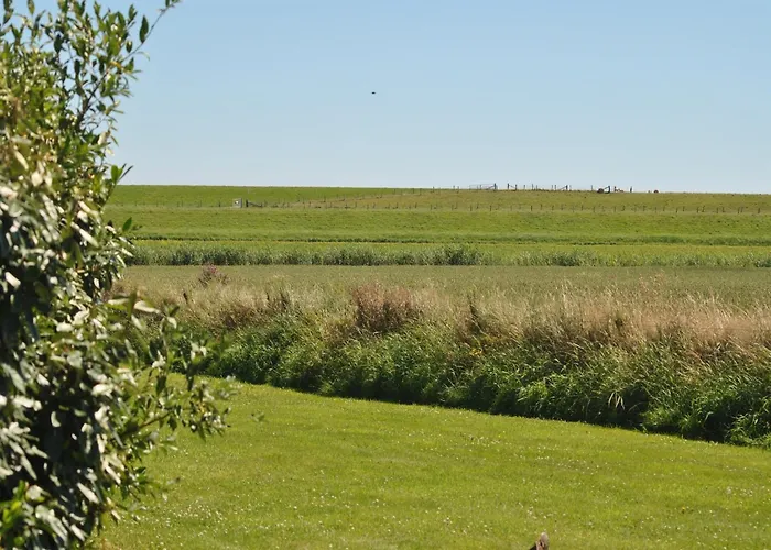 In Texel Near The Dyke *